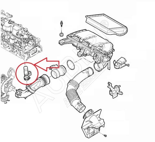 Engine ventilation hose Citroën Jumpy, Berlingo since 2007 1.6D with glowing