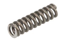 Synchronizer spring Iveco EuroCargo