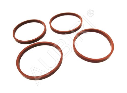 Intake manifold gasket set Citroën Berlingo, Peugeot Partner 2000-2016 1.6 16V