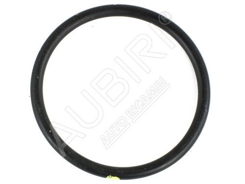 Water pump gasket Iveco Daily, Fiat Ducato 3.0