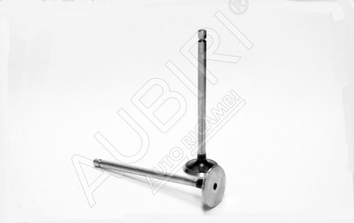 Exhaust valve Iveco EuroCargo Tector