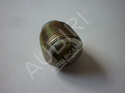 Differential screw drain Iveco EuroCargo