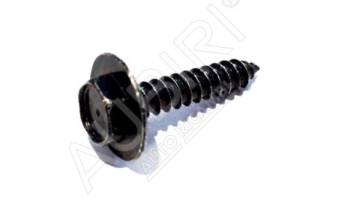 Self-drilling screw Iveco