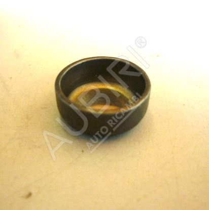 Frost fuse Iveco Daily 2.8-16 mm - for oil channel