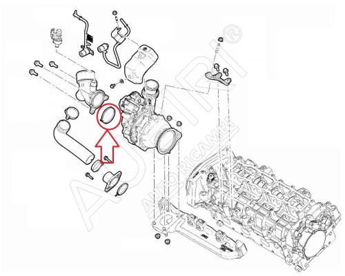 Turbocharger gasket Fiat Ducato since 2021 2.2D for exhaust manifold