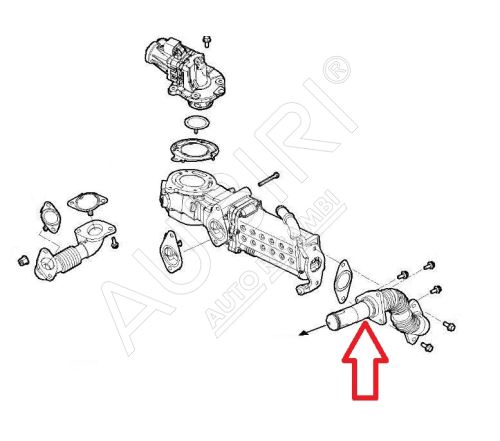 EGR valve cooler tube Iveco Daily since 2022 2.3D