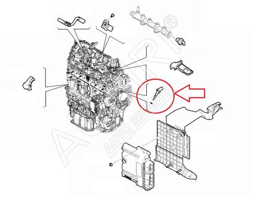 Coolant temperature sensor Citroën Jumpy, Berlingo since 2018 1.5 BlueHDi