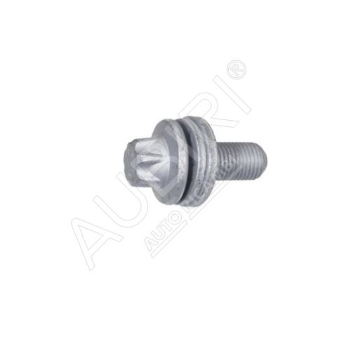 Screw Fiat Ducato 250