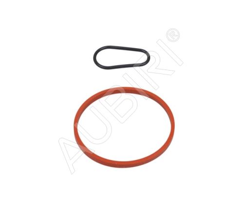 Vacuum pump seals Citroën Jumpy, Berlingo since 2016 1.5/1.6 BlueHDi