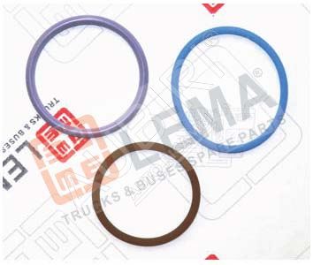 Injector gasket set, Iveco Cursor