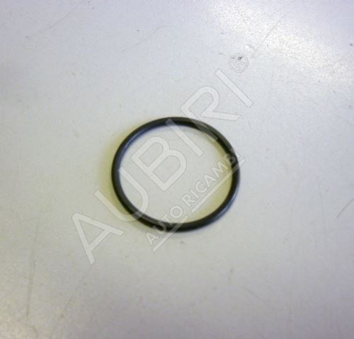 Injector housing gasket, Iveco EuroCargo euro2