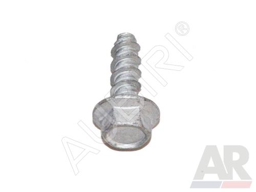 Step screw Iveco EuroCargo