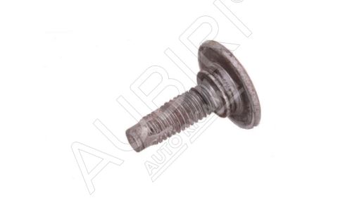 Bolt Fiat Ducato since 2002, Doblo 2000-2010 8x16mm