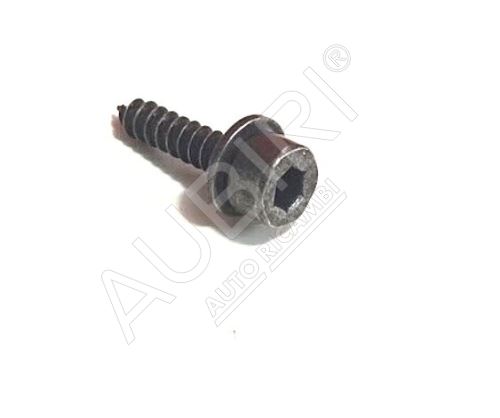 Dashboard screw Fiat Ducato since 2006 self-tapping