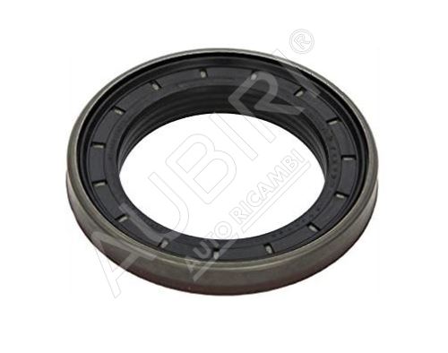 Hub shaft seal Iveco EuroCargo 100 67x100x13/15mm front