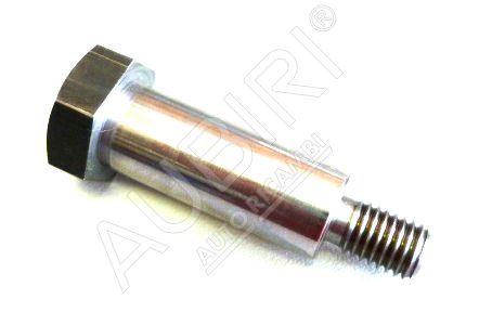 Chain guide screw Iveco Daily since 2000, Fiat Ducato since 2006 3.0D