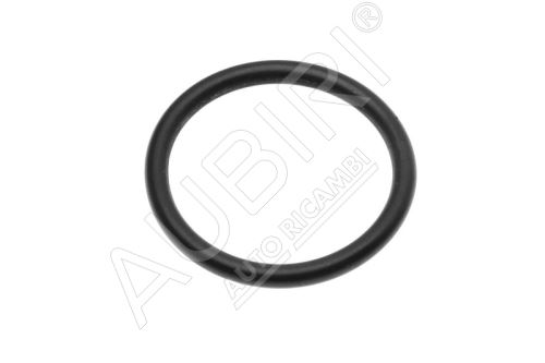 Oil suction basket gasket Iveco Daily 2.8