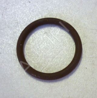 Ventilation pipe gasket Iveco Eurocargo Tector