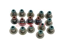 Valve stem seal Iveco Daily since 2000, Fiat Ducato since 2002 2.3/3.0 set