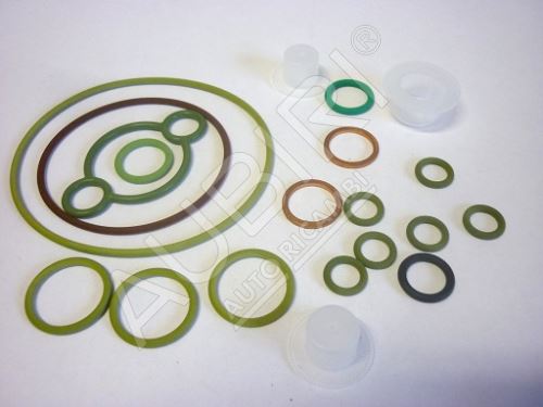 Gasket set for high pressure pump Iveco Daily 3.0 E4