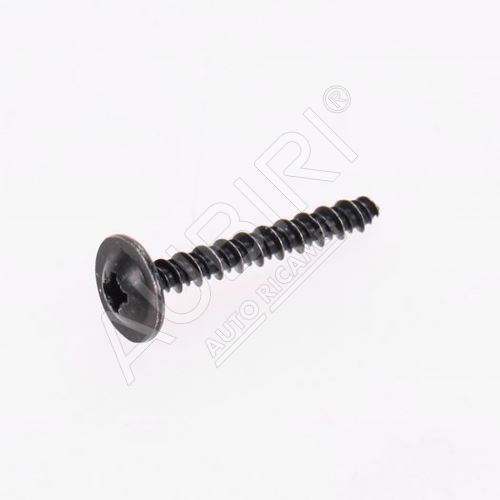 Self-tapping screw 3.9x30mm Fiat Ducato 250