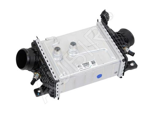 Intercooler Fiat Ducato, Jumper, Boxer, Movano 2021-2024 2.2D