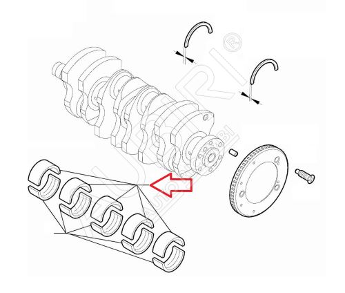 Main crank bearing Fiat Doblo 2010-2023, Ducato since 2011 2.0/2.2D 1.835-1.839 blue BN2