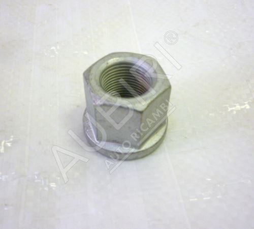 Leaf spring caliper nut Iveco Trakker