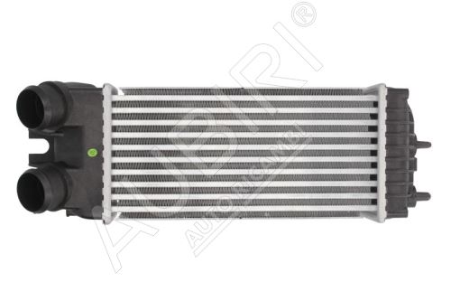 Intercooler Citroën Berlingo, Partner 2005-2011 1.6 HDi