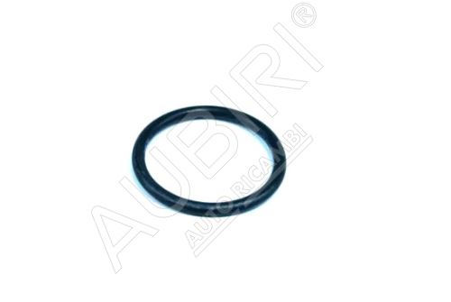 Thermostat seal Peugeot Boxer 2.2