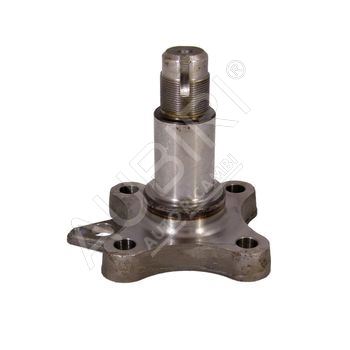 Stub axle Fiat Ducato, Jumper, Boxer 1994-2006 rear left/right, with ABS