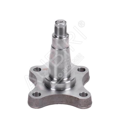 Stub axle Fiat Ducato, Jumper, Boxer 1994-2002 rear left/right, +/- ABS