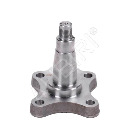 Stub axle Fiat Ducato, Jumper, Boxer 1994-2002 rear left/right, +/- ABS