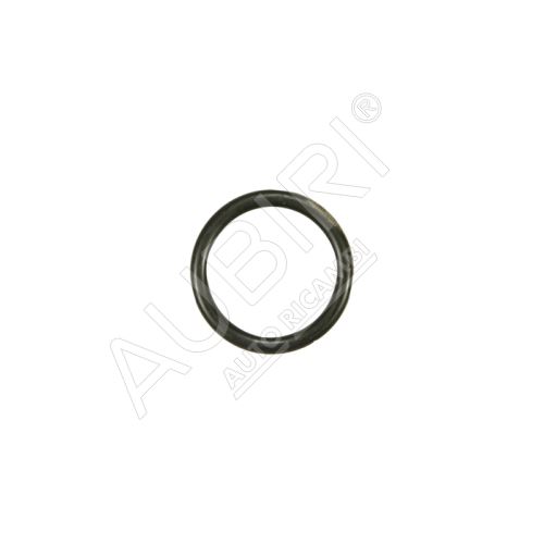 O - Ring Iveco Daily 2000 06 14 Fiat Ducato 250/2014 2.3/3.0 JTD